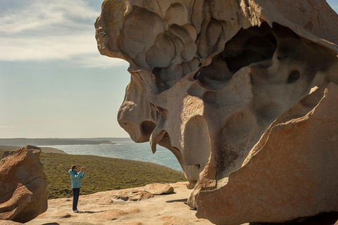 Kangaroo Island In A Day Tour From Adelaide - Surfers Gold Coast 30