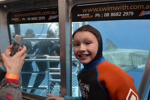 White Shark Tour With Optional Cage Dive From Port Lincoln - Surfers Gold Coast 8