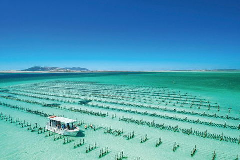 Coffin Bay Private Day Tour From Port Lincoln - A Taste Of Coffin Bay - Surfers Gold Coast 0