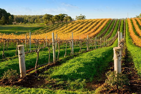 Victor Harbor With McLaren Vale Wine Region Tour From Adelaide - Surfers Gold Coast 0