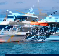 Poseidon Outer Great Barrier Reef Snorkeling and Diving Cruise from Port Douglas - Surfers Gold Coast