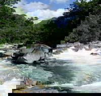 Daintree Rainforest Cape Tribulation Mossman Gorge in a day - Surfers Gold Coast