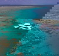 Silversonic Outer Great Barrier Reef Dive and Snorkel Cruise from Port Douglas - Surfers Gold Coast