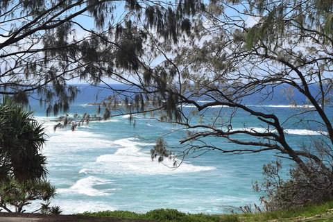 North Stradbroke Island Day Trip From Brisbane - Surfers Gold Coast 12