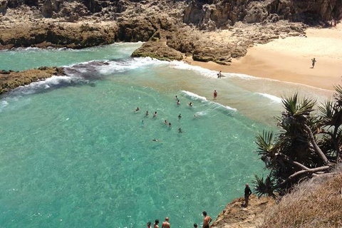 North Stradbroke Island Day Trip From Brisbane - Surfers Gold Coast 1