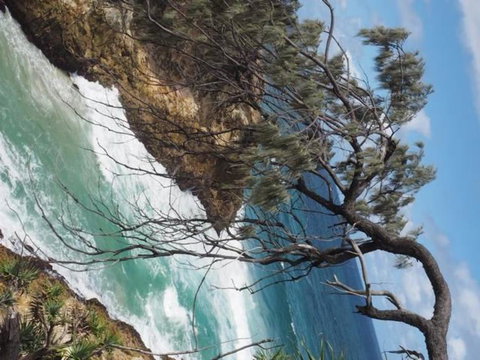 North Stradbroke Island Day Trip From Brisbane - Surfers Gold Coast 16