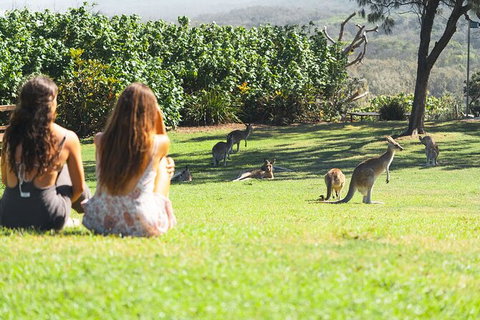 North Stradbroke Island Day Trip From Brisbane - Surfers Gold Coast 28