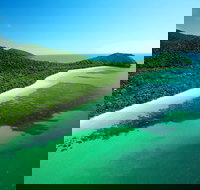 Cape Tribulation Mossman Gorge and Daintree Rainforest Day Trip from Cairns or Port Douglas - Surfers Gold Coast