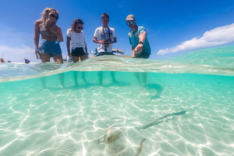 Ocean Rafting Tour To Whitehaven Beach, Hill Inlet Lookout & Top Snorkel Spots - Surfers Gold Coast 24