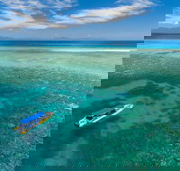 Ocean Safari Great Barrier Reef Experience in Cape Tribulation - Surfers Gold Coast