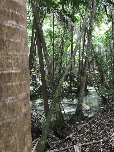5-Day Fraser Island And Great Barrier Reef Tour - Surfers Gold Coast 4