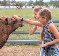 Camel Farm Deluxe Experience - Surfers Gold Coast