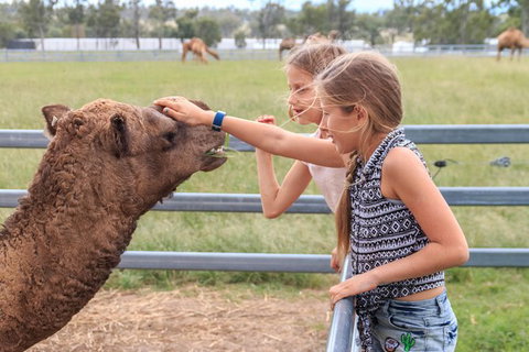 Camel Farm Deluxe Experience - Surfers Gold Coast 0
