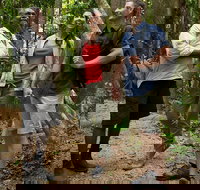 Mossman Gorge Dreamtime Walk and Low Isles Snorkeling and Sailing Cruise - Surfers Gold Coast