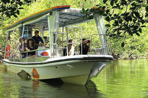 Cairns Reef And Rainforest Combo: Daintree Rainforest And The Great Barrier Reef - Surfers Gold Coast 5