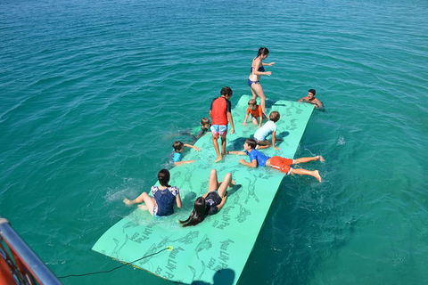 Fraser Island & Dolphin Sailing Adventure - Surfers Gold Coast 6