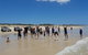 4WD Beach Safari - Brisbane Pick Up - thumb 1