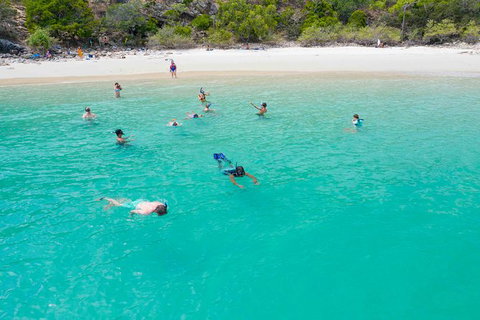 Stray Australia: Brisbane To Cairns Freestyle Tour - Surfers Gold Coast 1