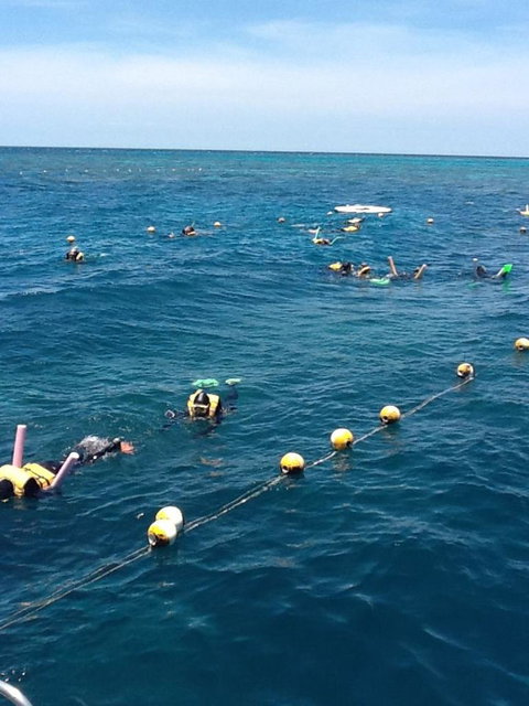 Quicksilver Outer Great Barrier Reef Snorkel Cruise From Port Douglas - Surfers Gold Coast 2