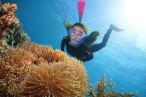Quicksilver Outer Great Barrier Reef Snorkel Cruise From Port Douglas - Surfers Gold Coast 9