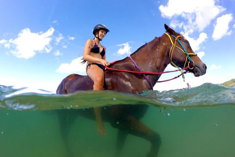 Horse Swimming Ride From Rainbow Beach - Surfers Gold Coast 1