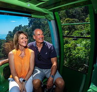 Skyrail Rainforest Cableway Day Trip from Palm Cove - Surfers Gold Coast