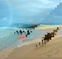 Rainbow Beach Horse Ride - Surfers Gold Coast