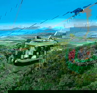 Kuranda Full-Day Small-Group Tour from Port Douglas - Surfers Gold Coast