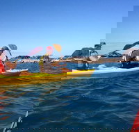 Port Douglas Half-Day Kayak Tour - Surfers Gold Coast