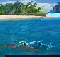 Wavedancer Low Isles Great Barrier Reef Sailing Cruise from Port Douglas - Surfers Gold Coast