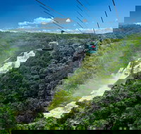 Skyrail Rainforest Cableway Day Trip from Port Douglas - Surfers Gold Coast