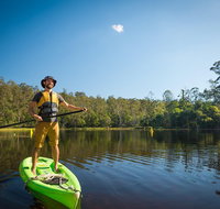 Walkabout Creek Adventures Stand Up Paddle Board Hire - Surfers Gold Coast