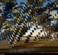 Port Douglas Round-Trip Transfer from Cairns with Free Time in Port Douglas - Surfers Gold Coast