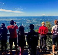 Springbrook Full Day Tour - Surfers Gold Coast
