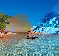 Half Day Low Isles Snorkelling Tour from Port Douglas - Surfers Gold Coast