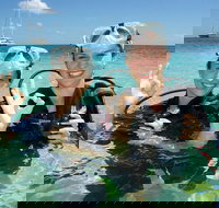 Ocean Spirit Michaelmas Cay Dive and Snorkel Cruise from Palm Cove - Surfers Gold Coast