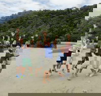 Private Daintree Wanderer Tour - Surfers Gold Coast