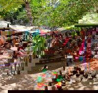 Kuranda Day Trip small group from Port Douglas by bus - Surfers Gold Coast