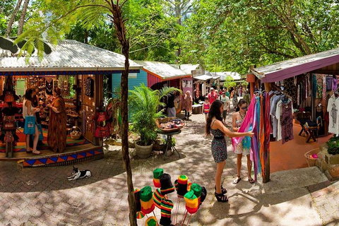 Kuranda Day Trip Small Group From Port Douglas By Bus - Surfers Gold Coast 2