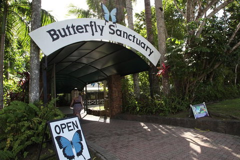 Kuranda Day Trip Small Group From Port Douglas By Bus - Surfers Gold Coast 6