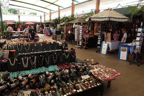 Kuranda Day Trip Small Group From Port Douglas By Bus - Surfers Gold Coast 5