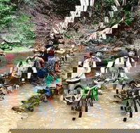 Half Day Bump Track MTB Ride - Surfers Gold Coast