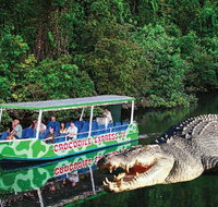 Daintree River Cruise - Surfers Gold Coast