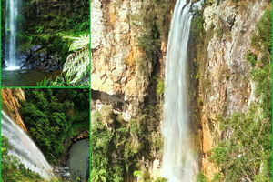 Rainforest & Waterfalls Extravaganza
