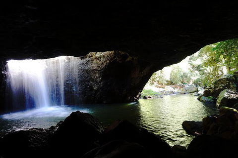 Rainforest & Waterfalls Extravaganza - Surfers Gold Coast 5