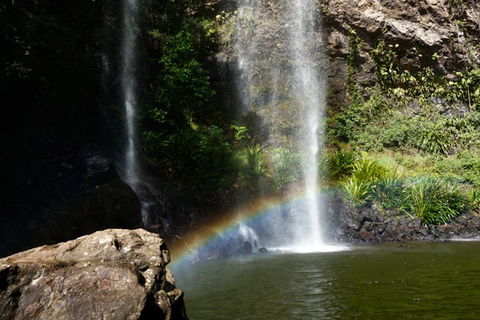 Rainforest & Waterfalls Extravaganza - Surfers Gold Coast 4