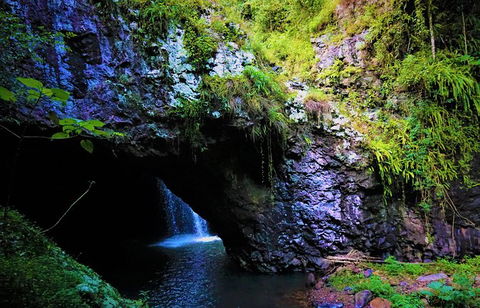 Rainforest & Waterfalls Extravaganza - Surfers Gold Coast 10