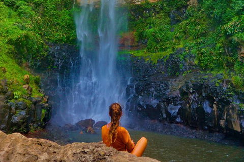 Rainforest & Waterfalls Extravaganza - Surfers Gold Coast 11