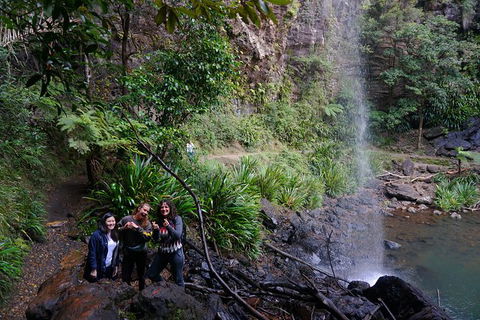 Rainforest & Waterfalls Extravaganza - Surfers Gold Coast 9