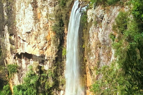 Rainforest & Waterfalls Extravaganza - Surfers Gold Coast 3